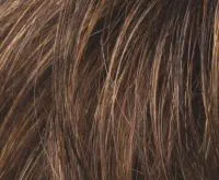 Famous Human Hair Enhancer - Top Power by Ellen Wille