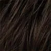 Famous Human Hair Enhancer - Top Power by Ellen Wille