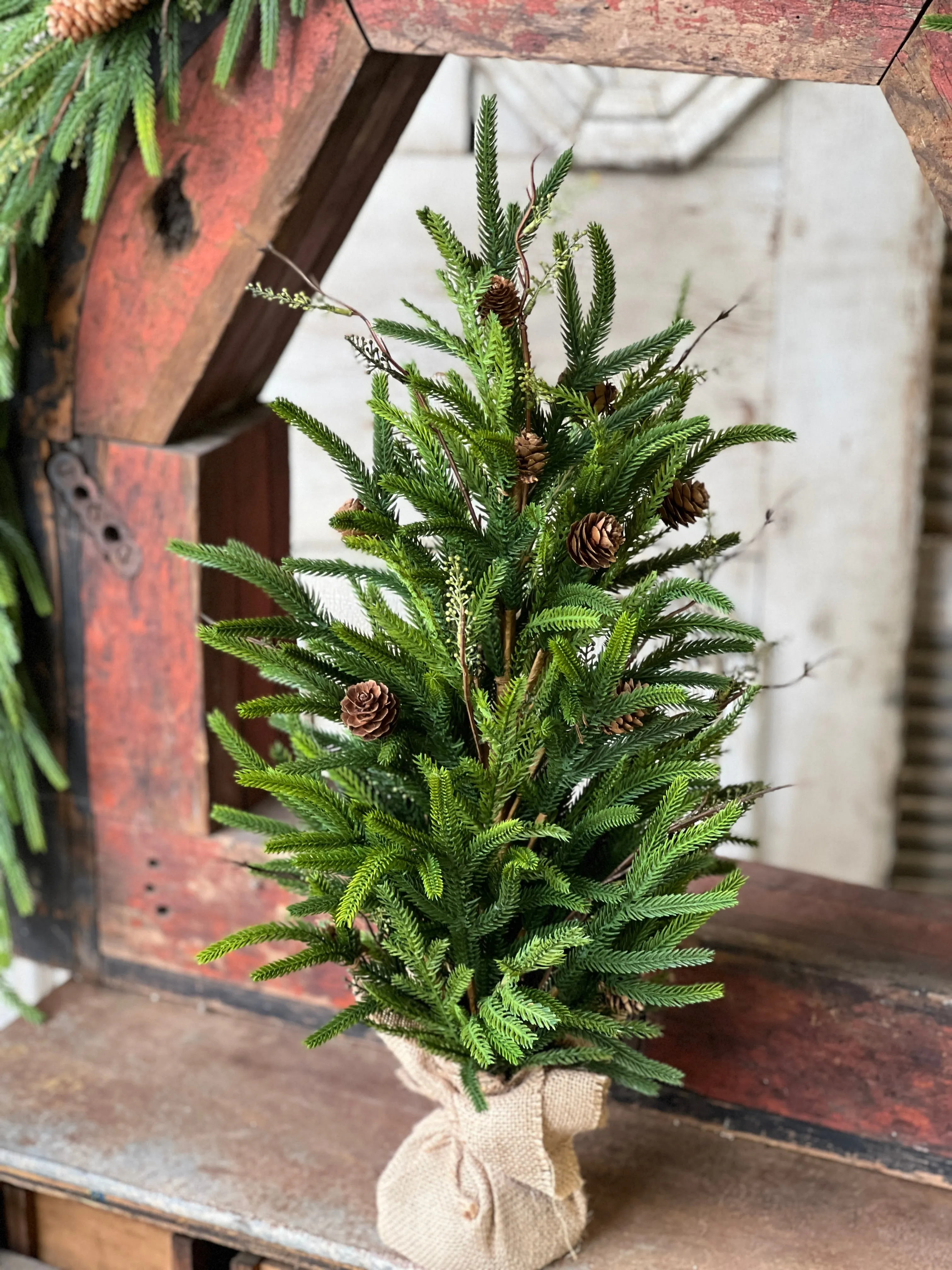 Pencil Pine Tree | 24"