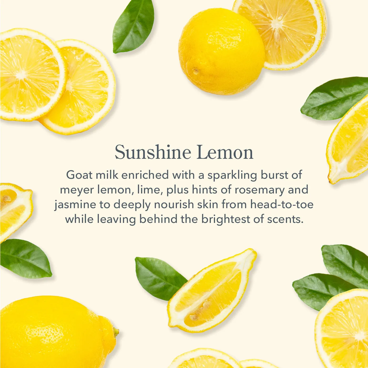 Sunshine Lemon Goat Milk Soap Set of 4